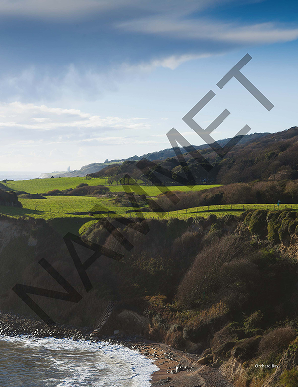 Nammet: A Celebration of Isle of Wight Food and Drink - Image 4