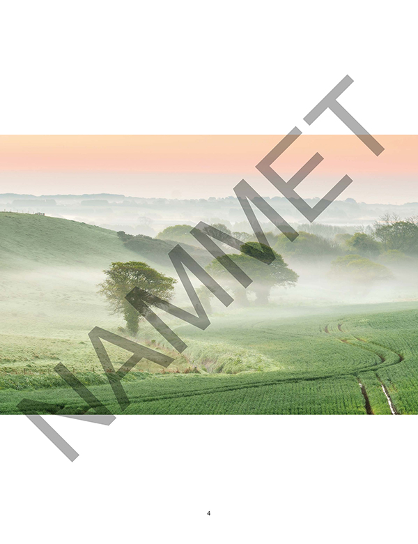 Nammet: A Celebration of Isle of Wight Food and Drink - Image 5