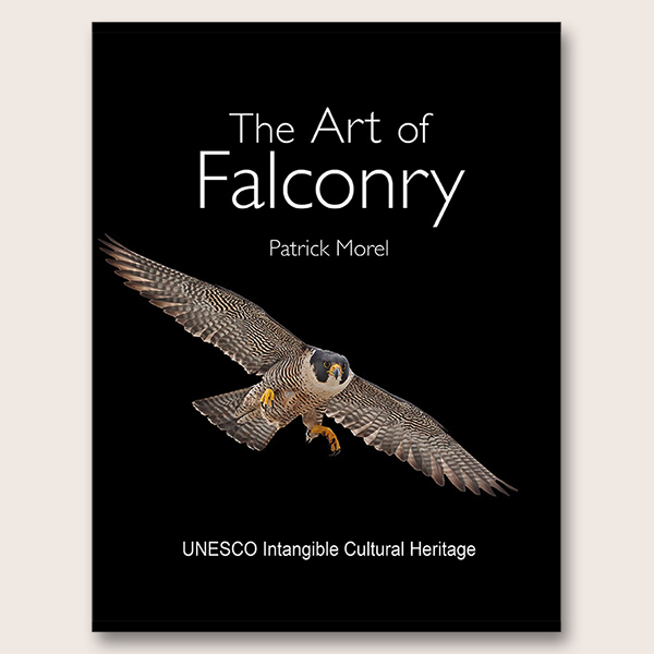 The Art of Falconry