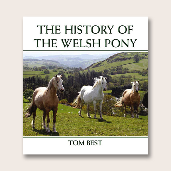 The History of the Welsh Pony