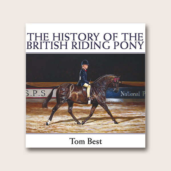 The History of the British Riding Pony