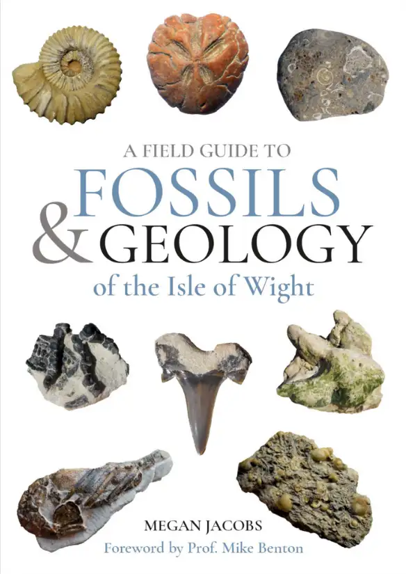 fossils